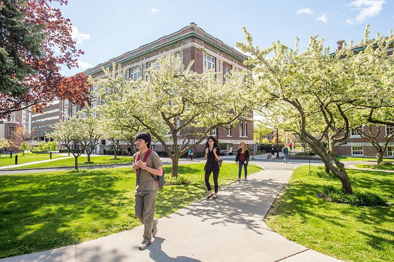 ECSE Undergraduate Programs